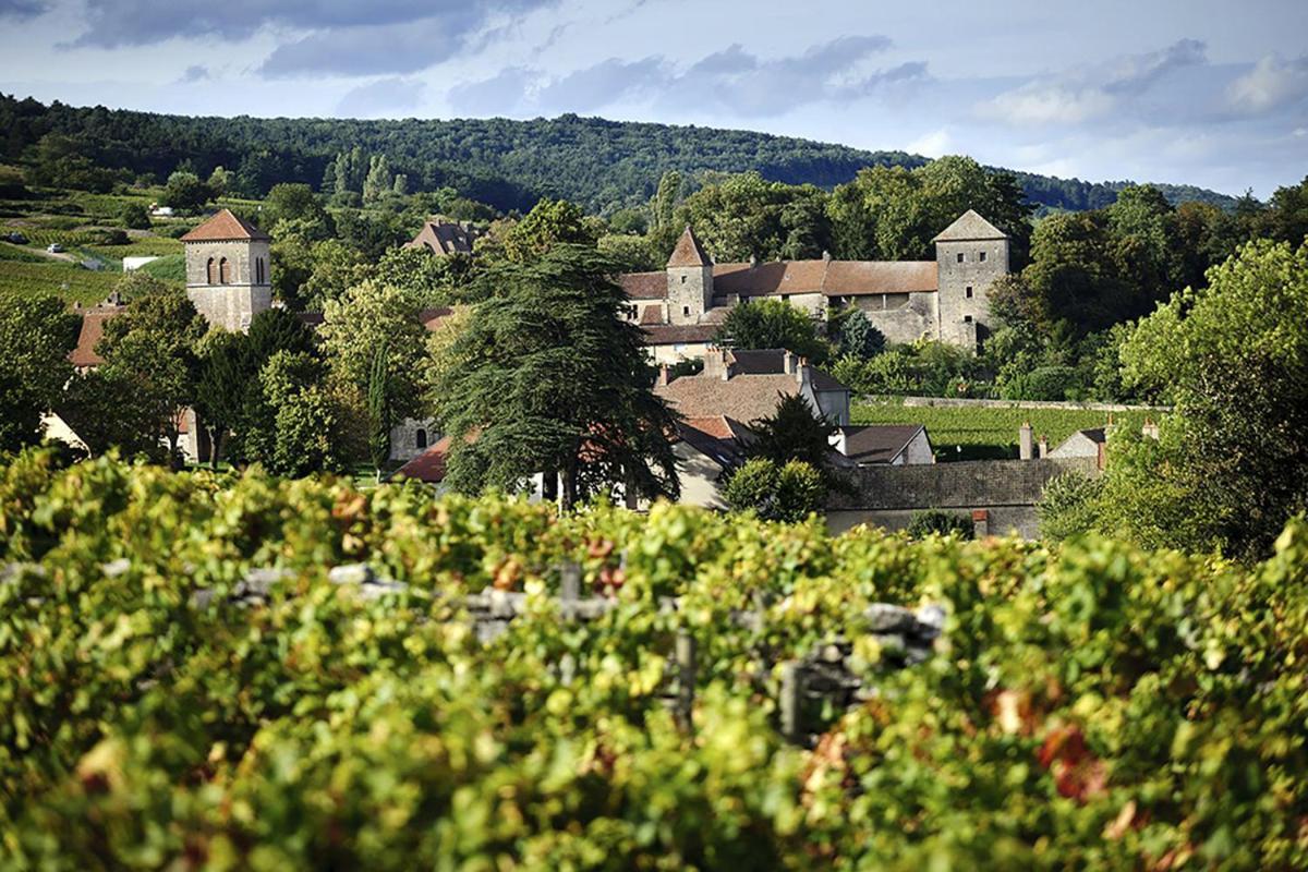 Le Richebourg - Charmant T2 Cosy, Tout Confort Gevrey-Chambertin Eksteriør billede